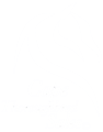 Cape Thoroughbred Sales